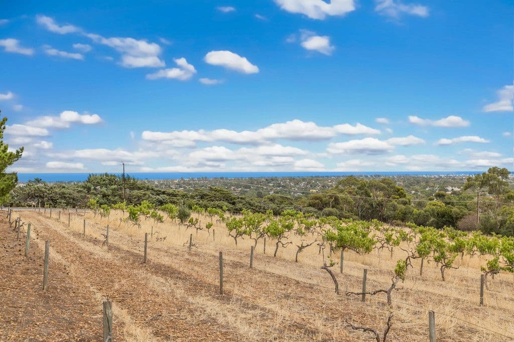 1 Craig Road, Onkaparinga Hills SA 5163, Onkaparinga Hills - Thumbnail 6
