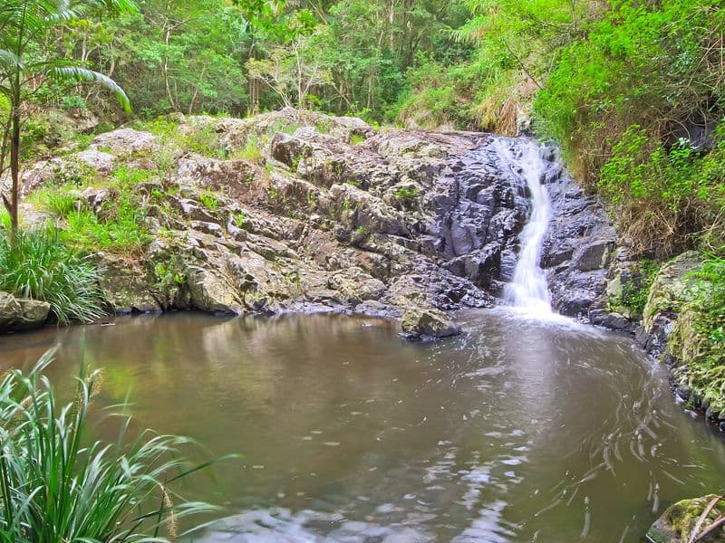 299 Hogan's Road, BILAMBIL NSW 2486, Bilambil - Thumbnail 3