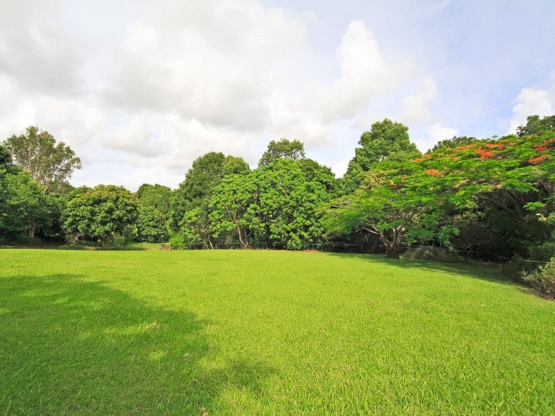 299 Hogan's Road, BILAMBIL NSW 2486, Bilambil - Thumbnail 4