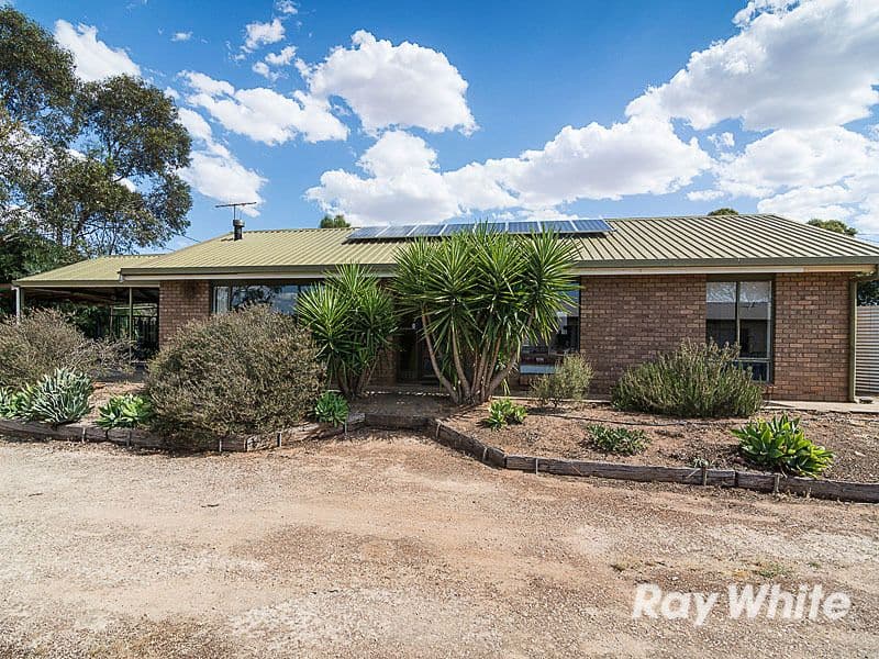 41 Hallett Street, Callington SA 5254, Callington - Thumbnail 5
