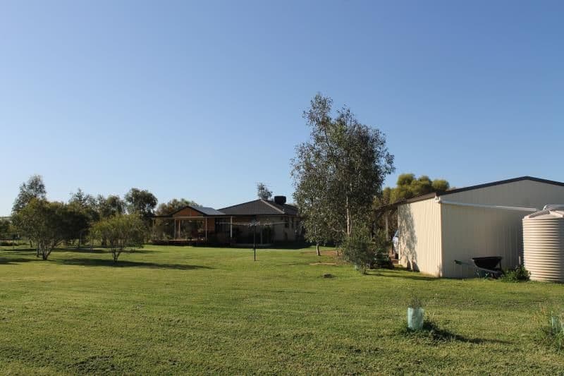 10 Redgum Place, NARROMINE NSW 2821, Narromine - Thumbnail 3