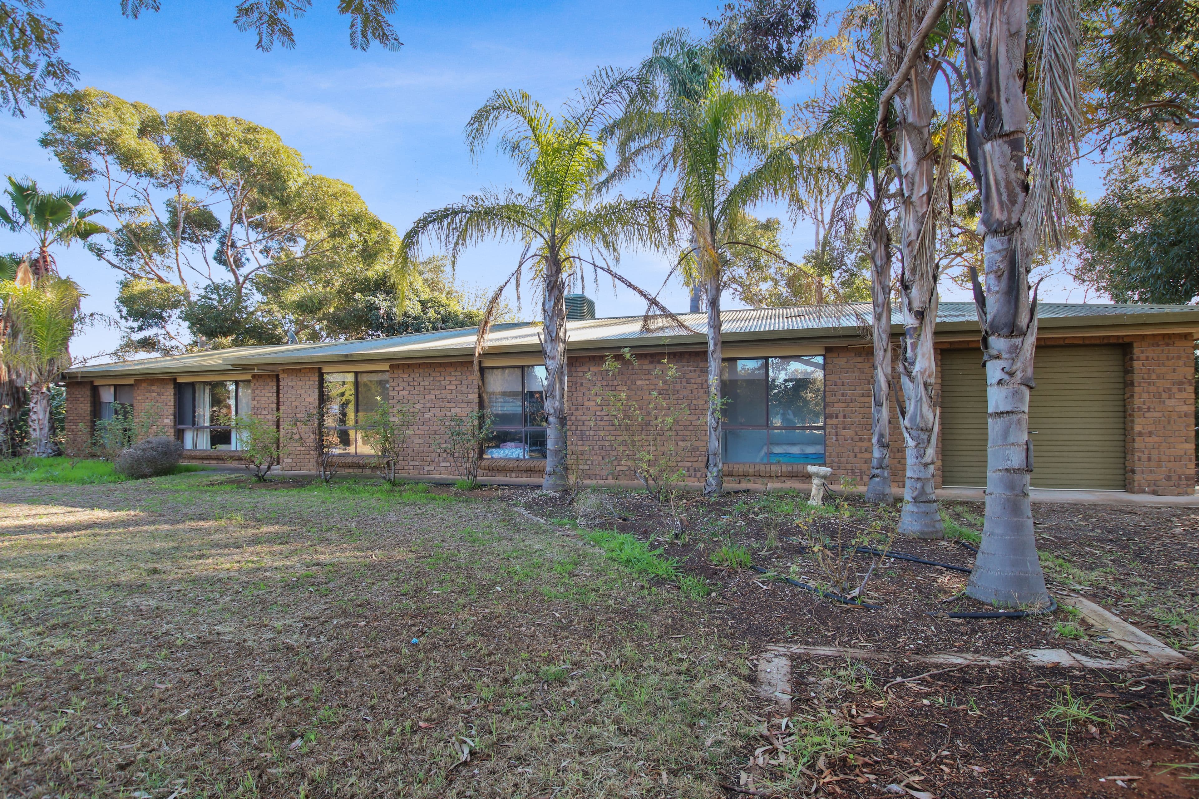 111 Vasey Road, Waikerie SA 5330, Waikerie - Image 1