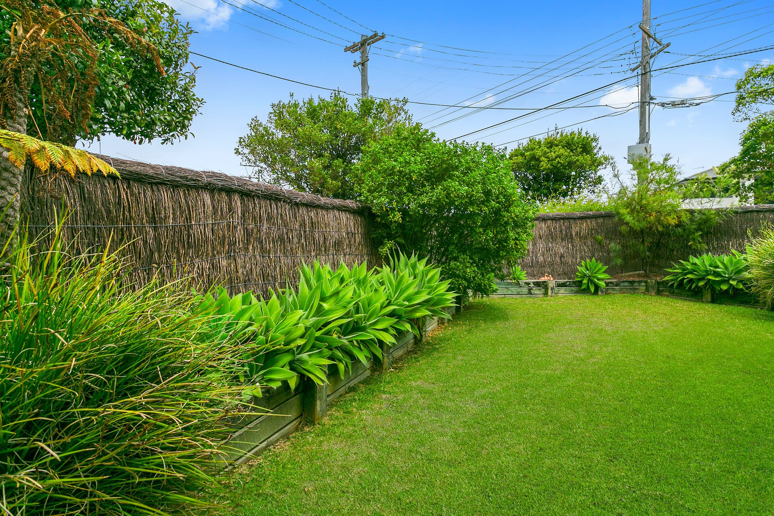 173 Alfred Street, Narraweena NSW 2099, Narraweena - Thumbnail 3
