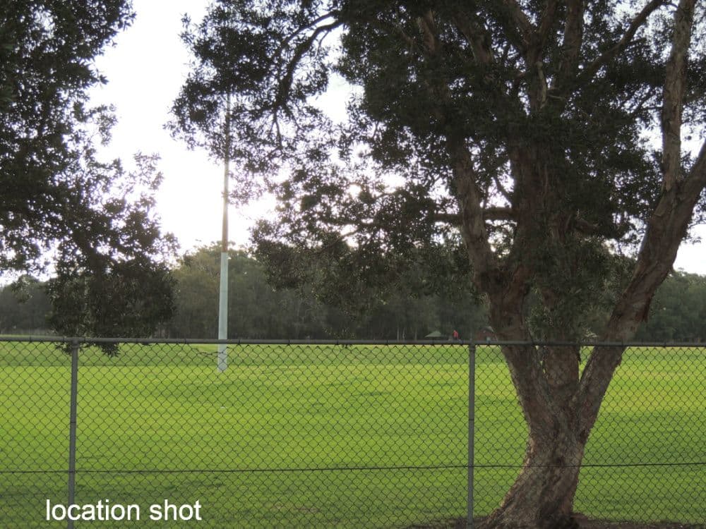 14A MEADOW Crescent, MEADOWBANK NSW 2114, Meadowbank - Thumbnail 2
