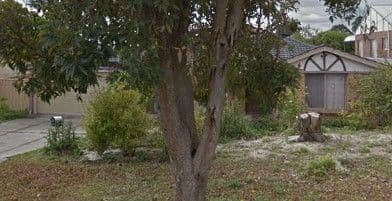 6 Glenrowan Place, Willetton WA 6155, Willetton - Thumbnail 2