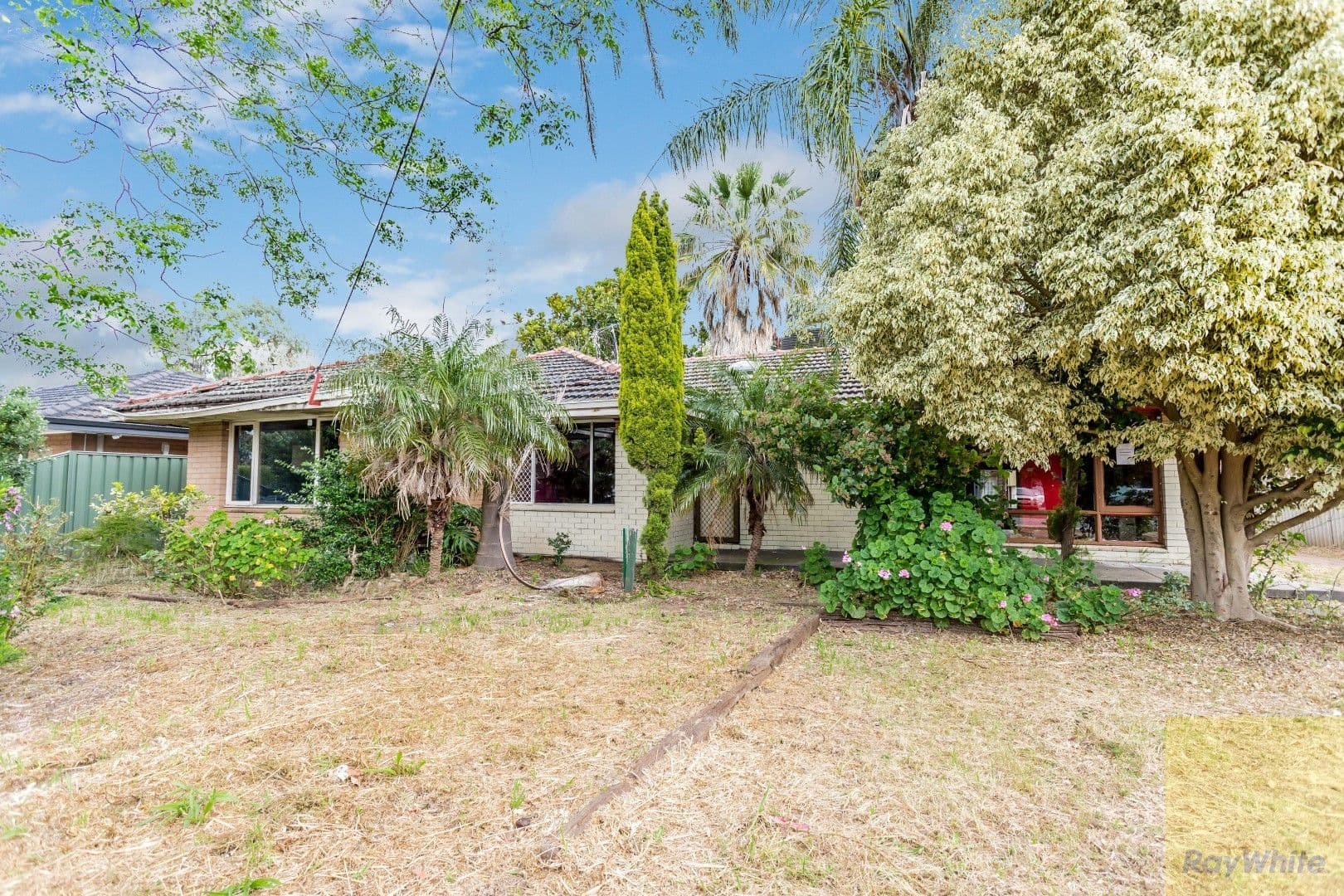 53 Forrest Road, Armadale WA 6112, Armadale - Image 1