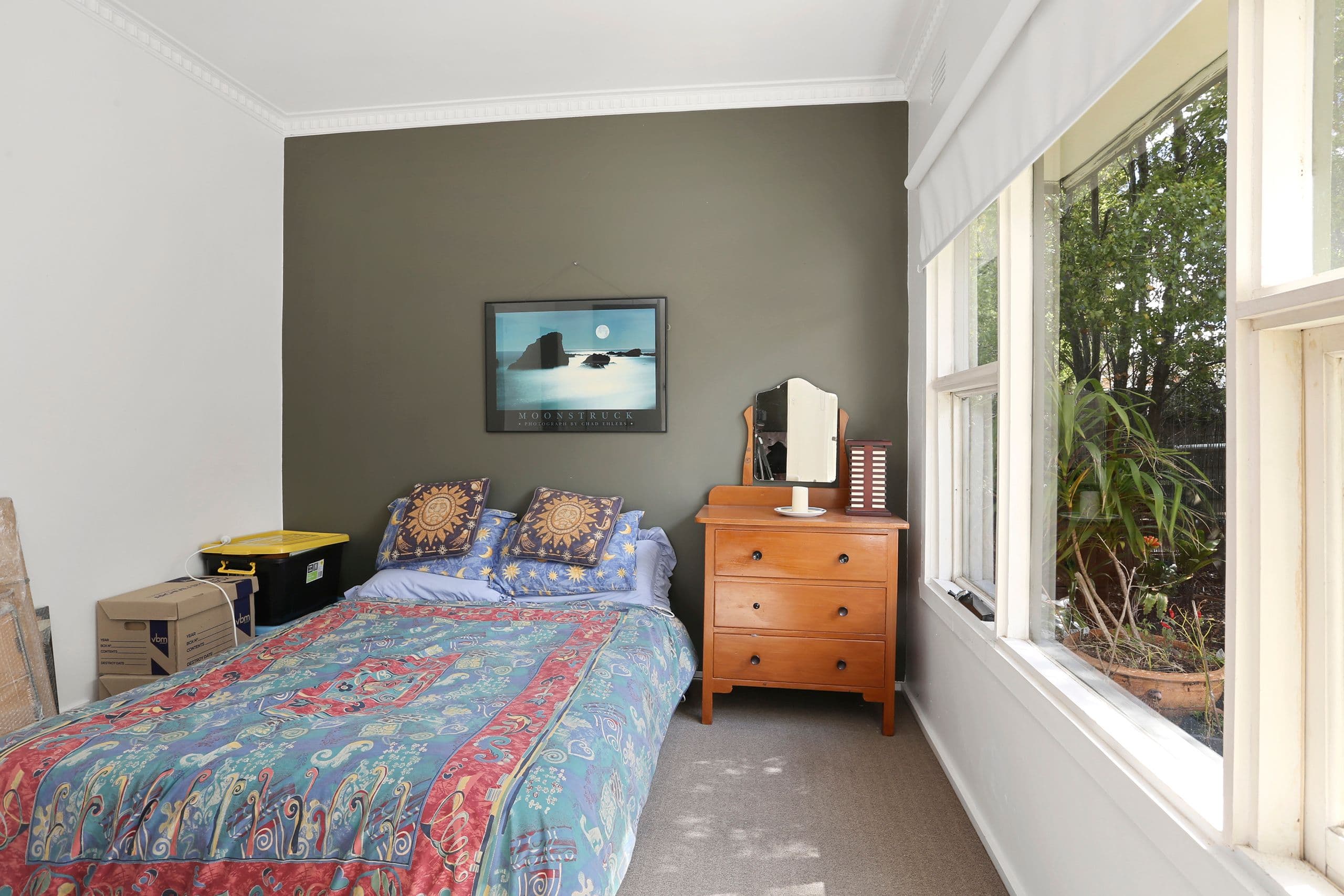 45 James Street, Belmont VIC 3216, Belmont - Thumbnail 6