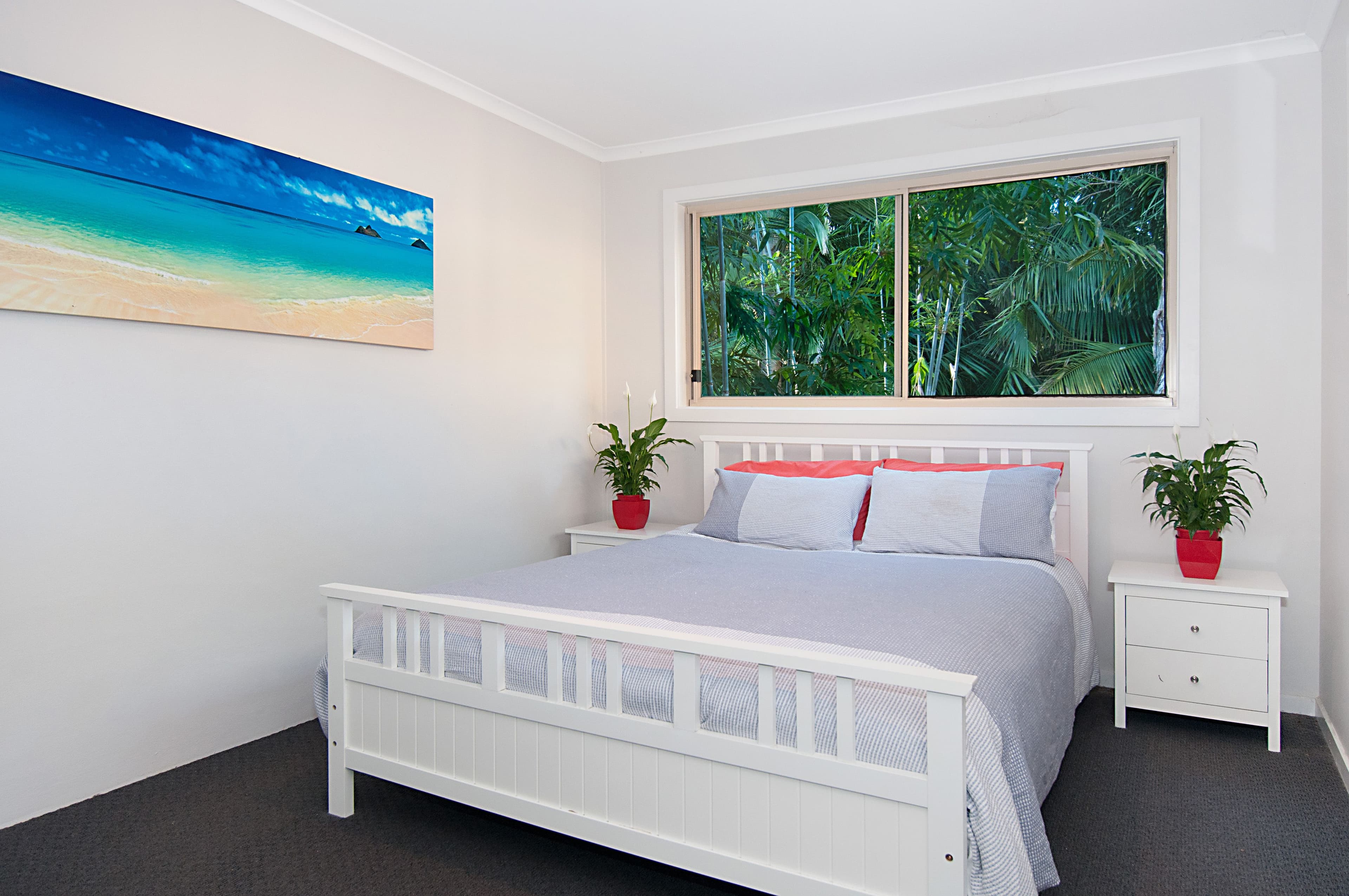 2-6 Cemetery Road, Byron Bay NSW 2481, Byron Bay - Thumbnail 7