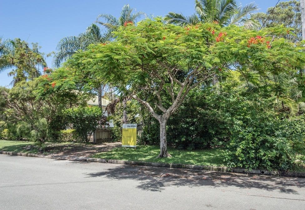 39 Myles, Tewantin QLD 4565, Tewantin - Thumbnail 6