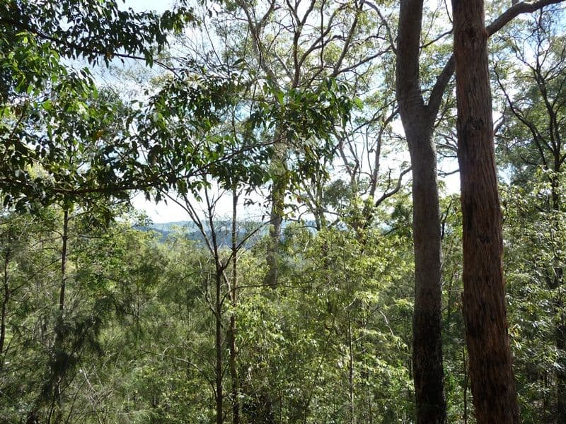 323 Mooloolah Road, EUDLO QLD 4554, Eudlo - Thumbnail 4
