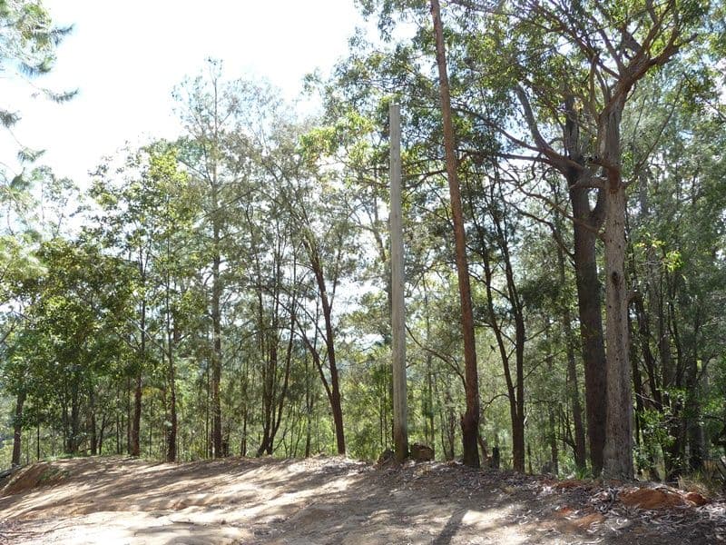 323 Mooloolah Road, EUDLO QLD 4554, Eudlo - Thumbnail 7