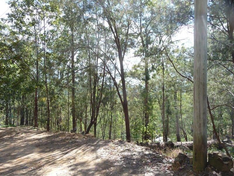 323 Mooloolah Road, EUDLO QLD 4554, Eudlo - Thumbnail 8