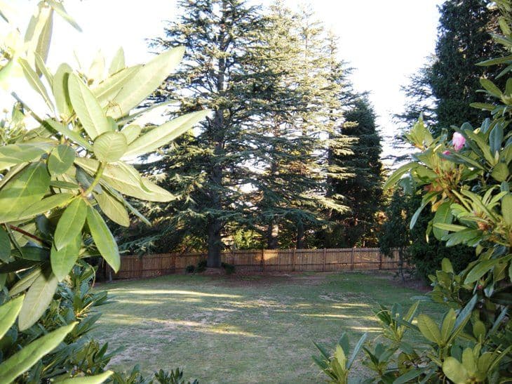 Lot 11, 63 Hargraves Street, BLACKHEATH NSW 2785, Blackheath - Thumbnail 3