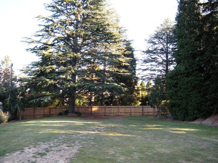 Lot 11, 63 Hargraves Street, BLACKHEATH NSW 2785, Blackheath - Thumbnail 8