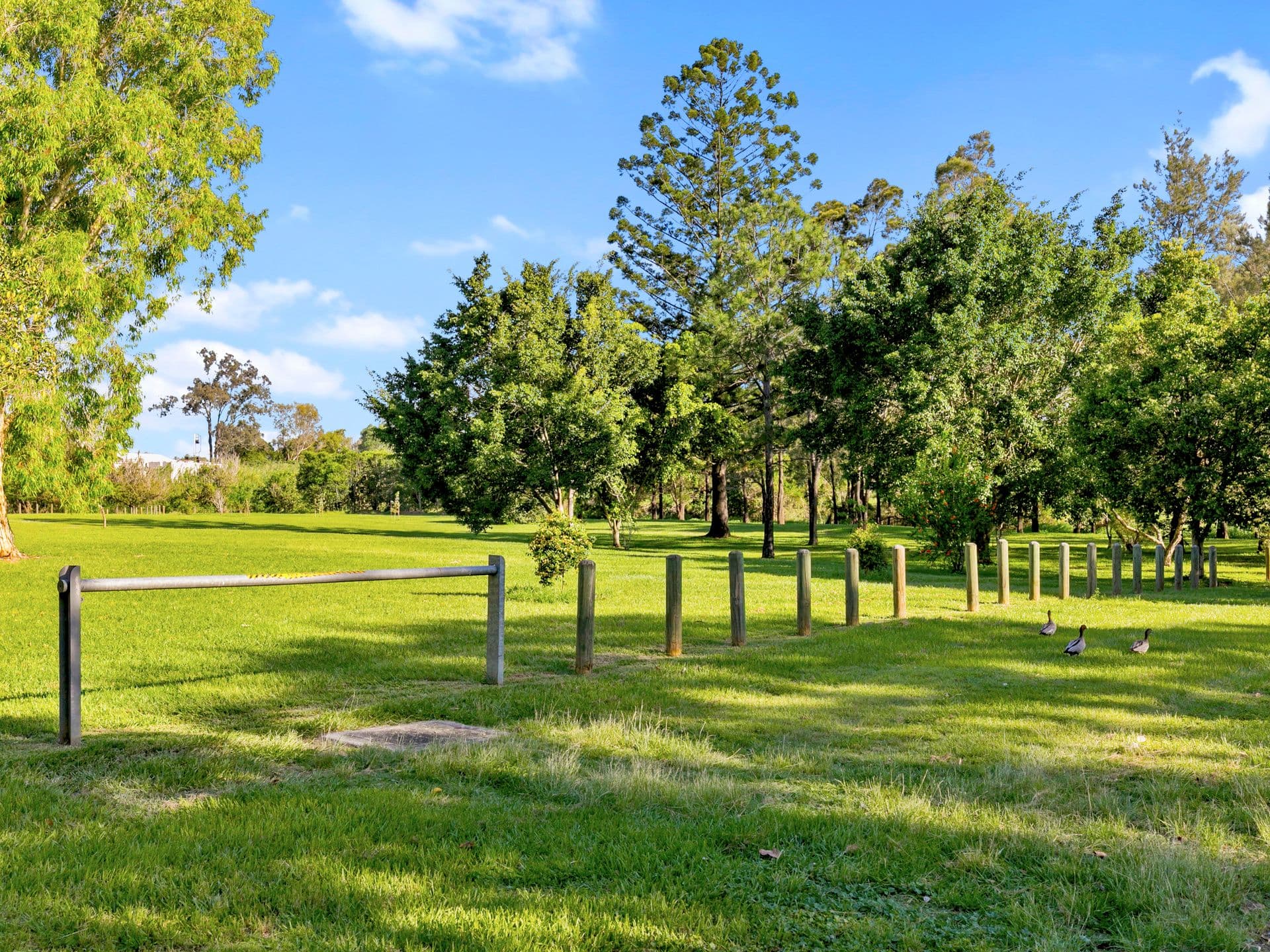 10 Allawah Street, Yeerongpilly QLD 4105, Yeerongpilly - Thumbnail 2