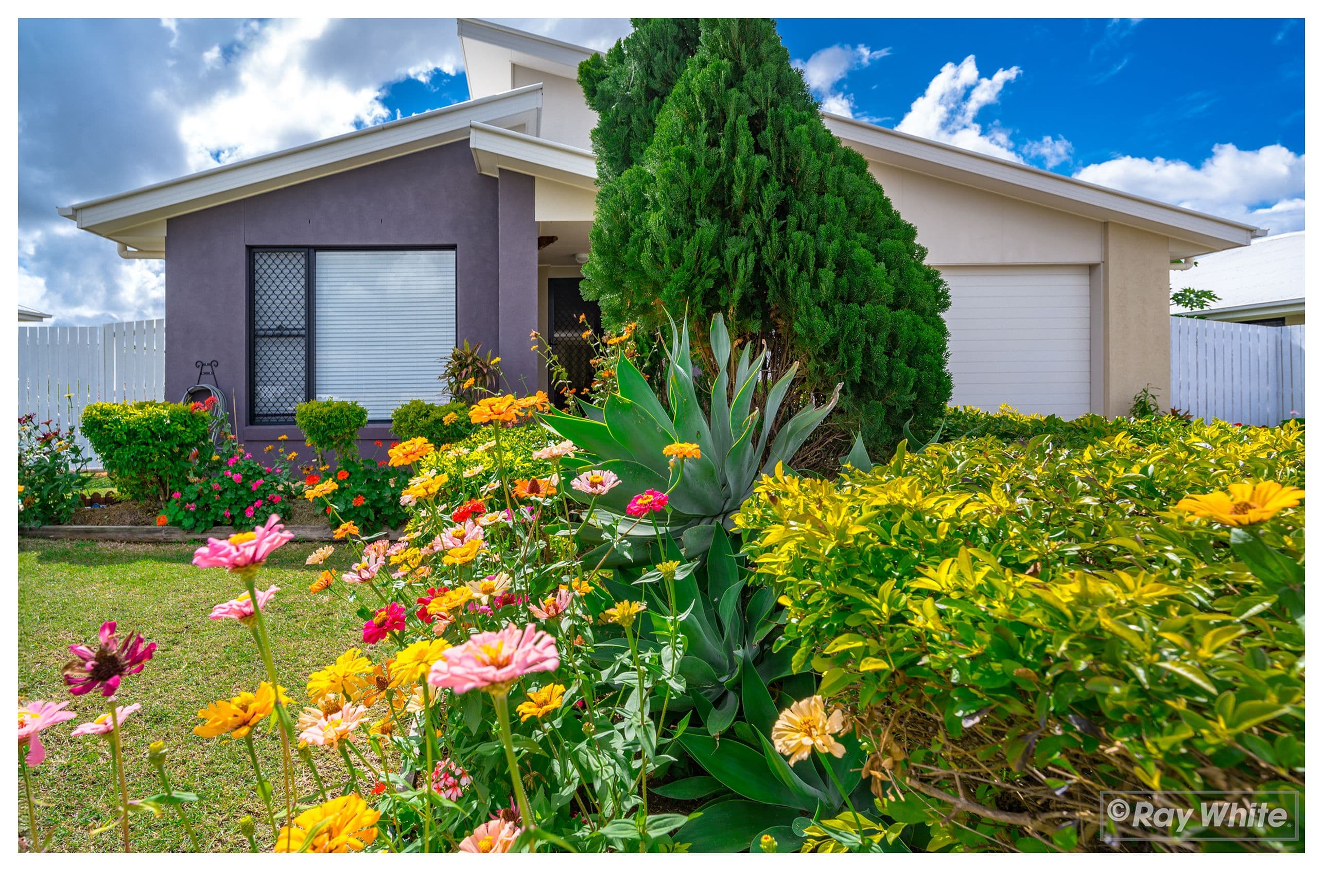 19 Sylvana Avenue, Gracemere QLD 4702, Gracemere - Image 1