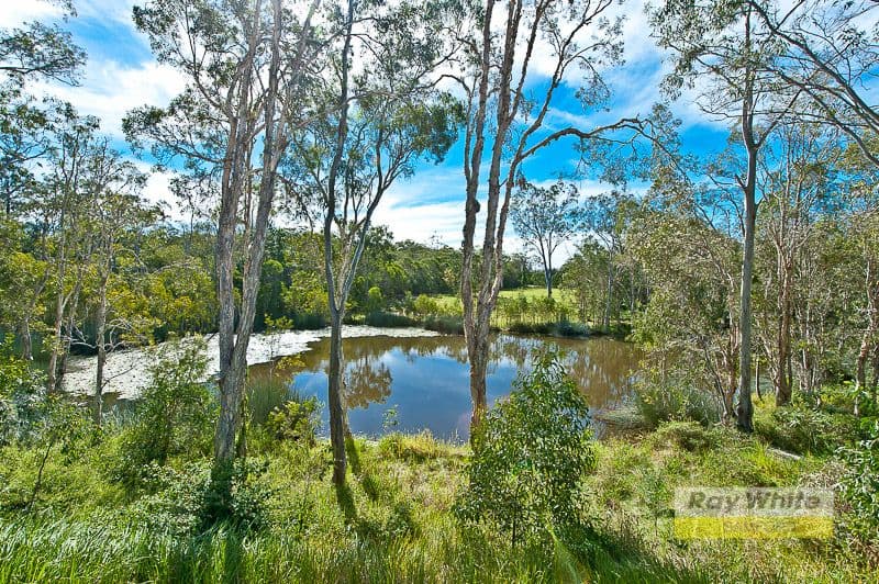 39 Pademelon Circuit, NORTH LAKES QLD 4509, North Lakes - Thumbnail 4