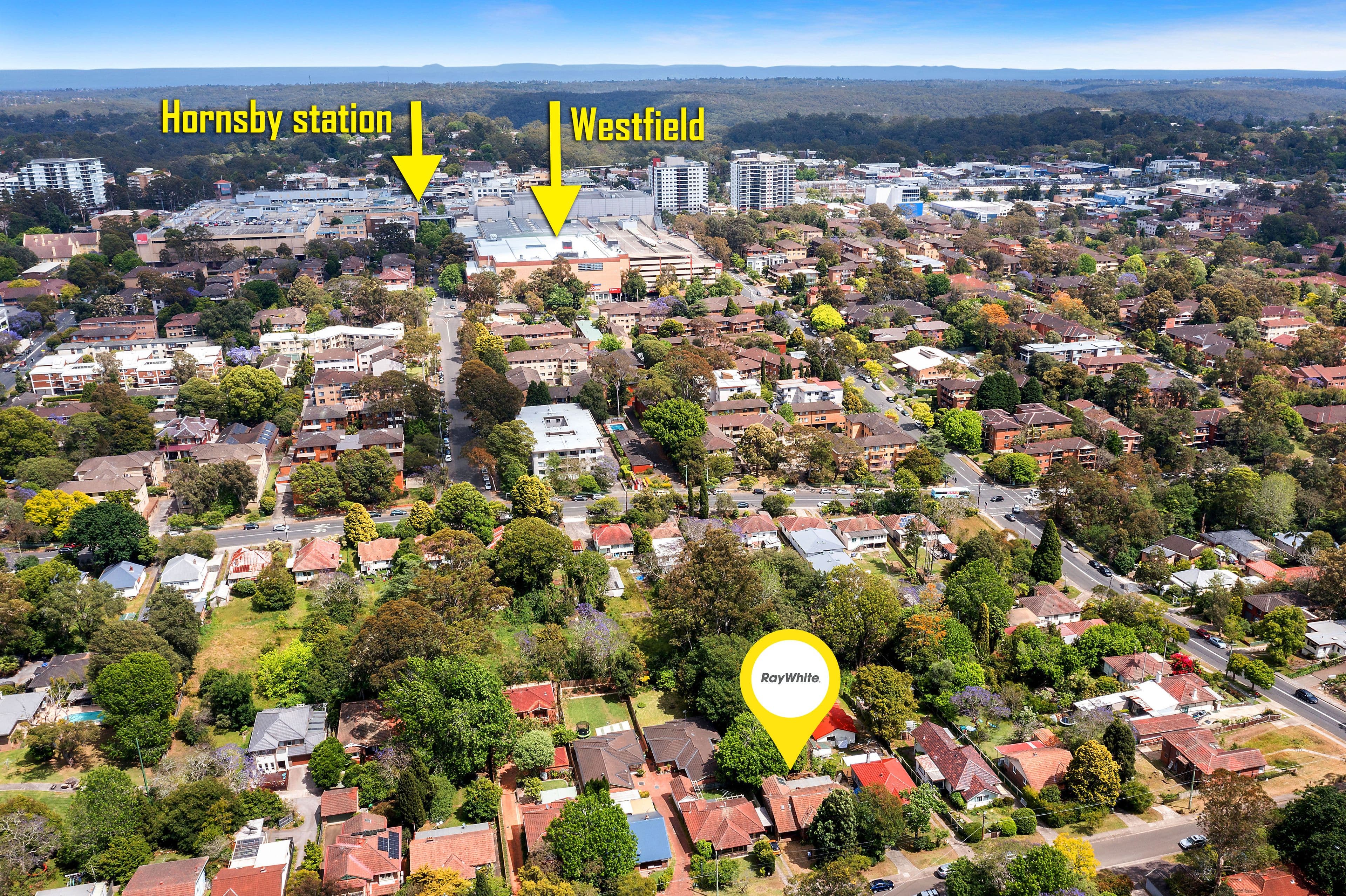 23 Wentworth Avenue, Waitara NSW 2077, Waitara - Thumbnail 5