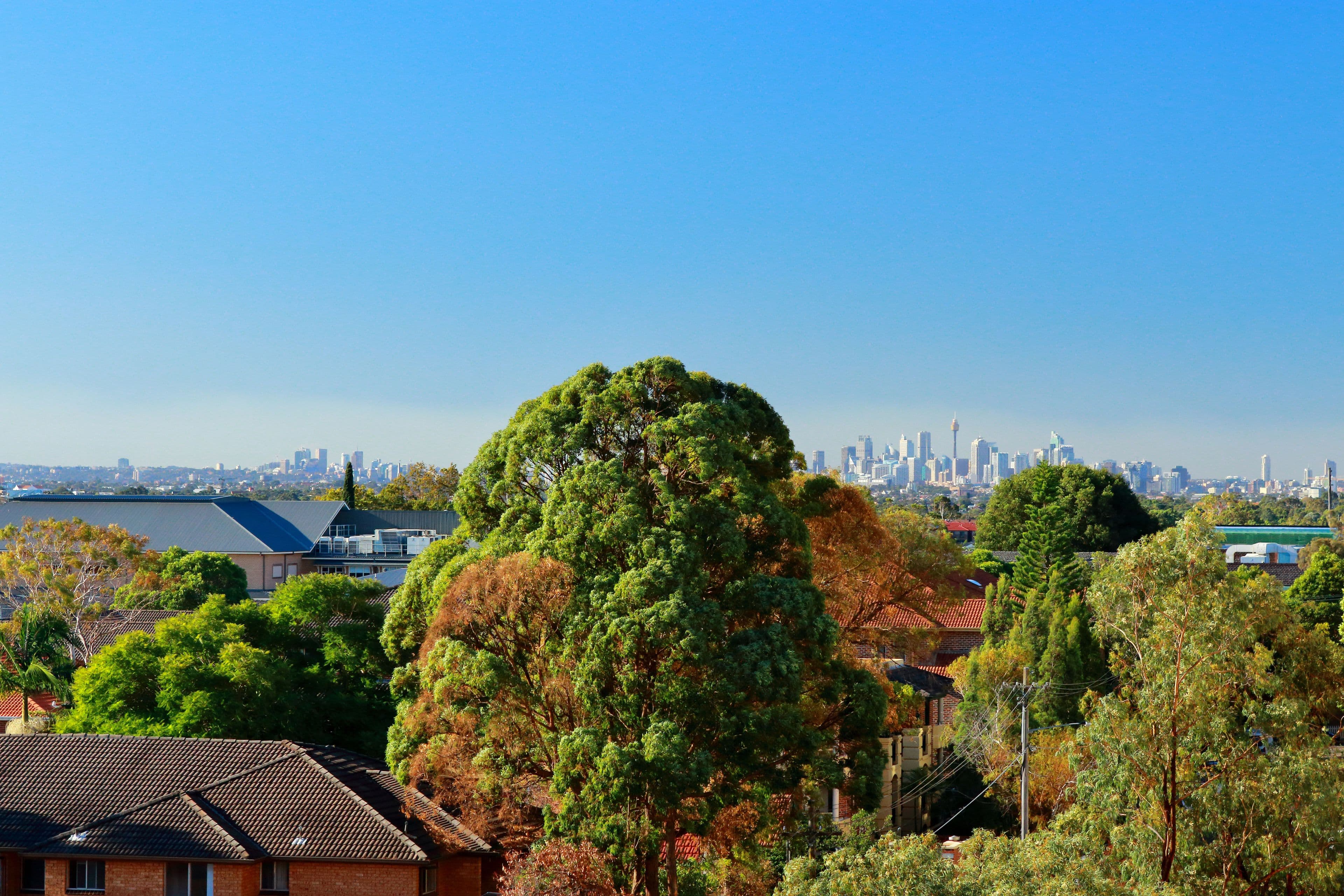 14 Carrington Avenue, Hurstville NSW 2220, Hurstville - Thumbnail 6