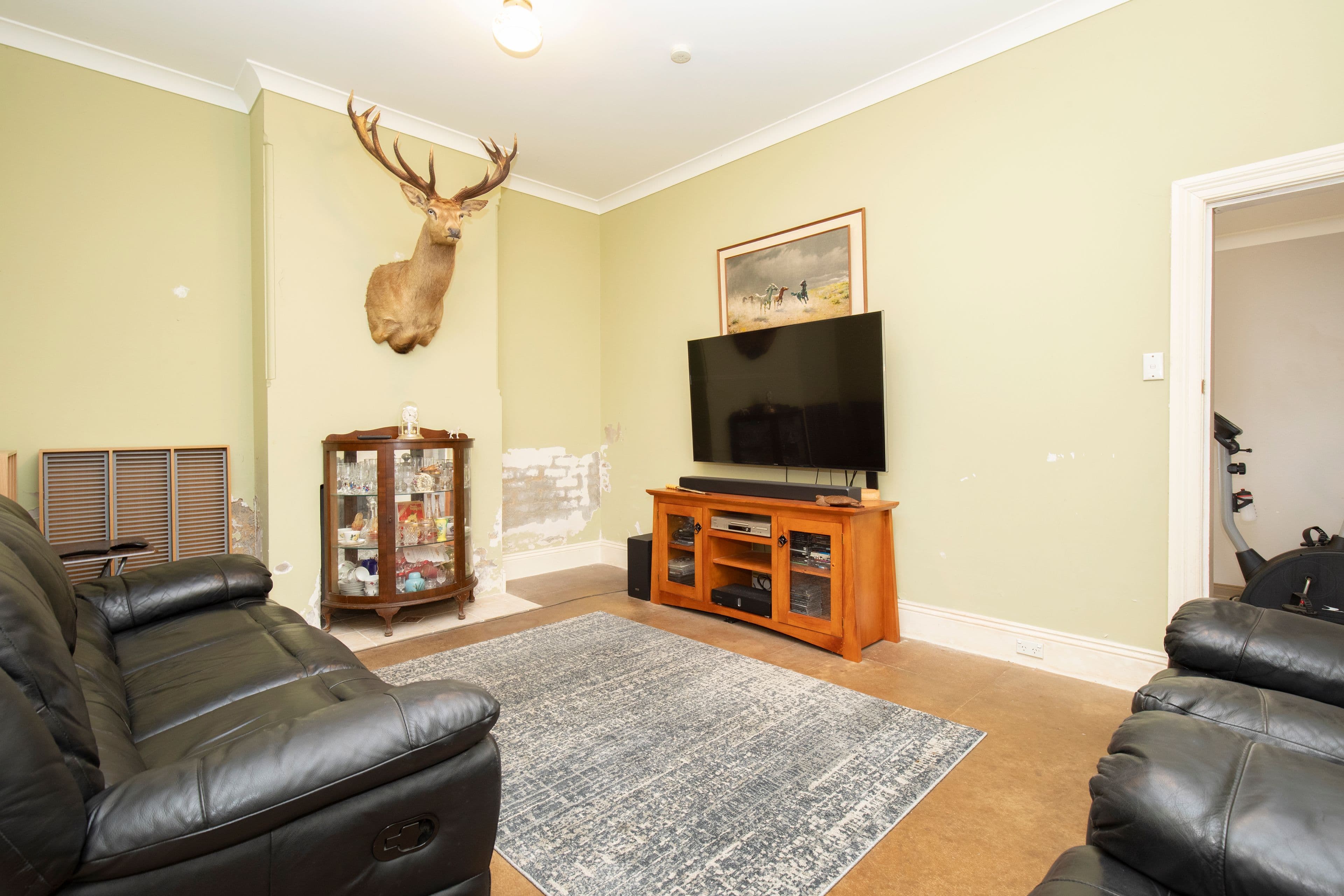 16 Tighe Street, Waratah NSW 2298, Waratah - Thumbnail 3