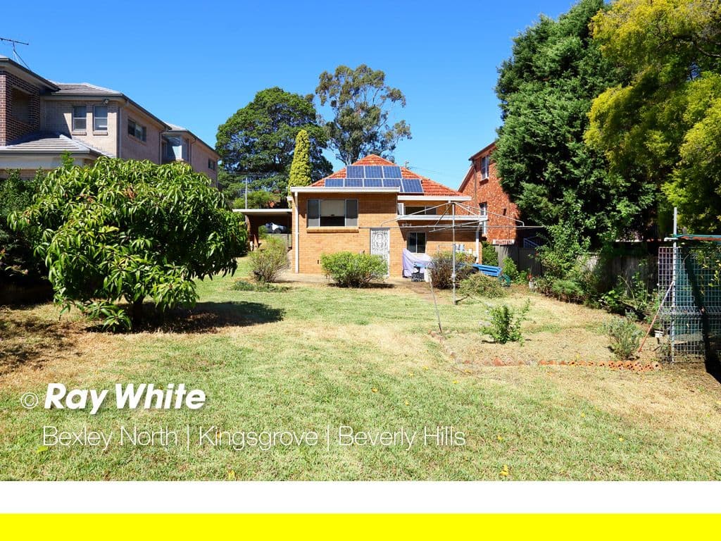 31 Olive Street, Kingsgrove - Thumbnail 4