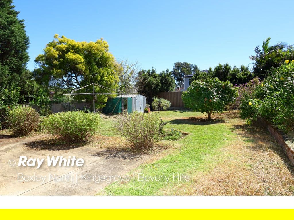 31 Olive Street, Kingsgrove - Thumbnail 5
