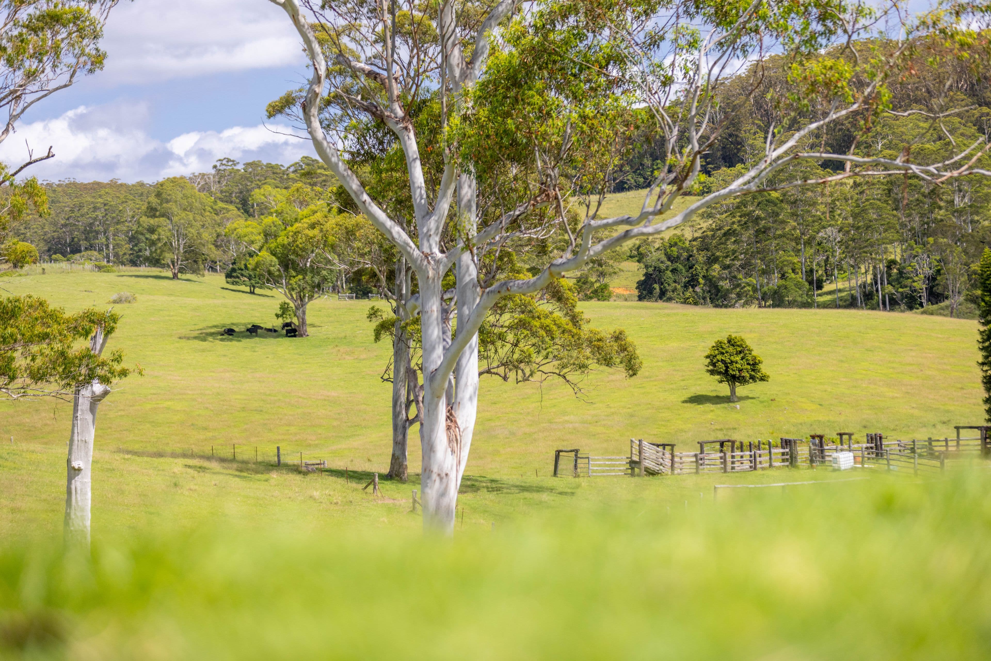 400 Bellthorpe West Road, Bellthorpe QLD 4514, Bellthorpe - Thumbnail 5