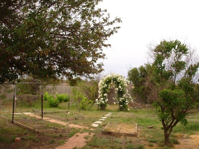 47 Maitland Close, MULLEWA WA 6630, Mullewa - Thumbnail 5
