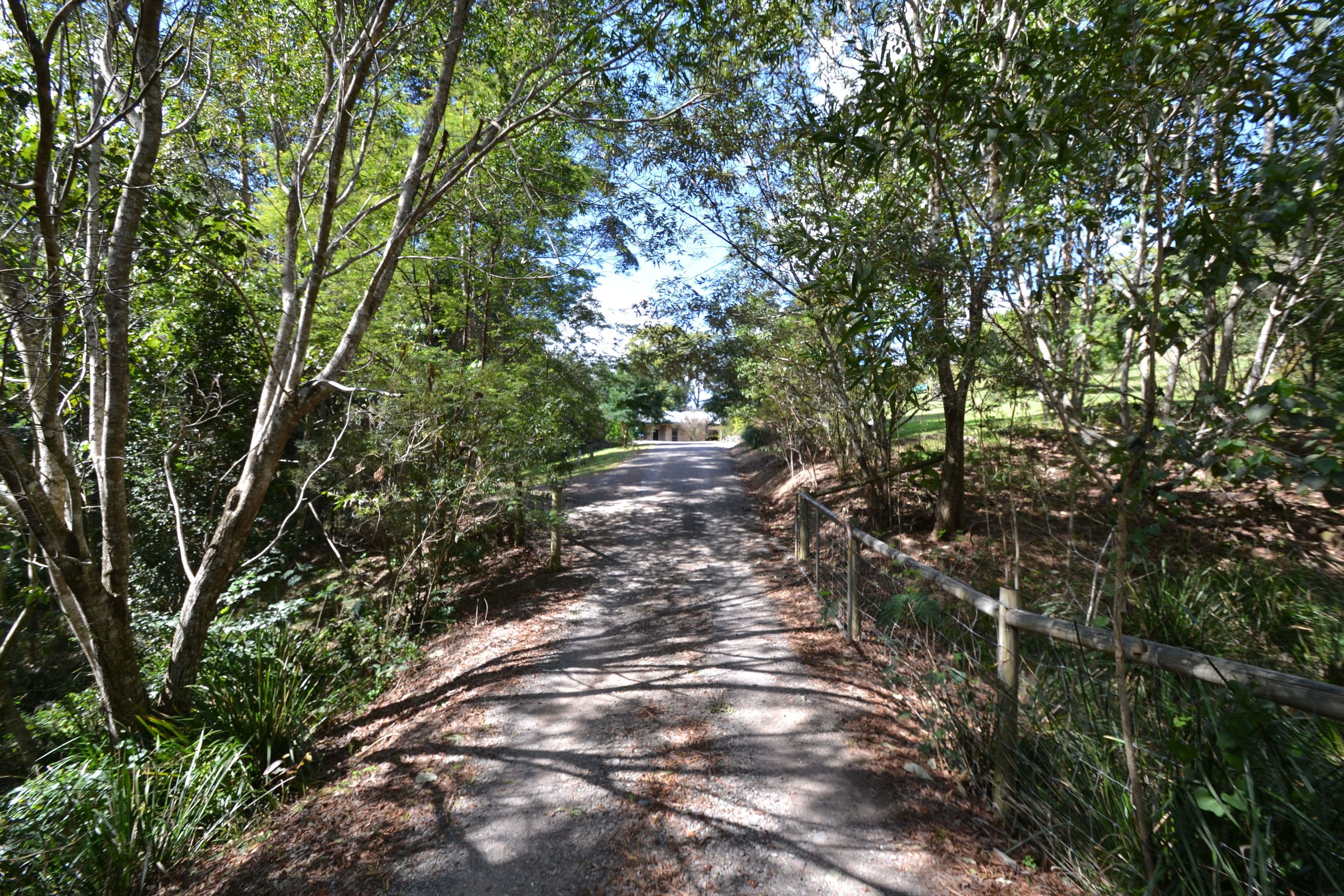16 Clancy Court, Mooloolah Valley QLD 4553, Mooloolah Valley - Thumbnail 4