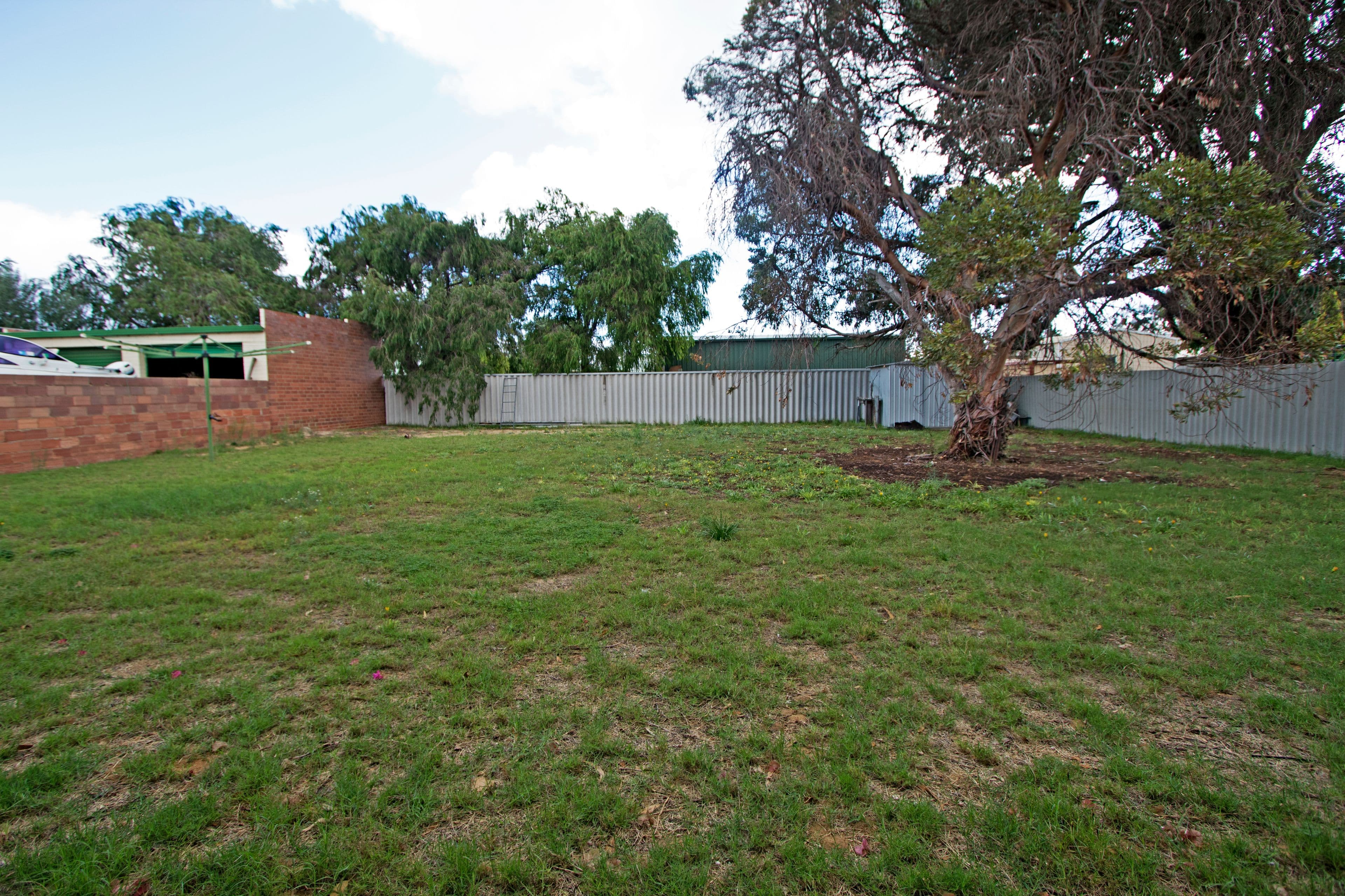 8 Bashford Street, Jurien Bay WA 6516, Jurien Bay - Thumbnail 8