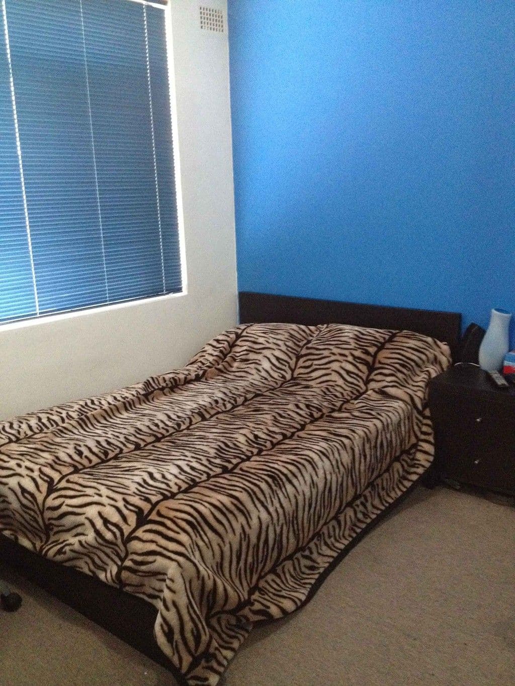 250 lakemba Street, LAKEMBA NSW 2195, Lakemba - Thumbnail 4