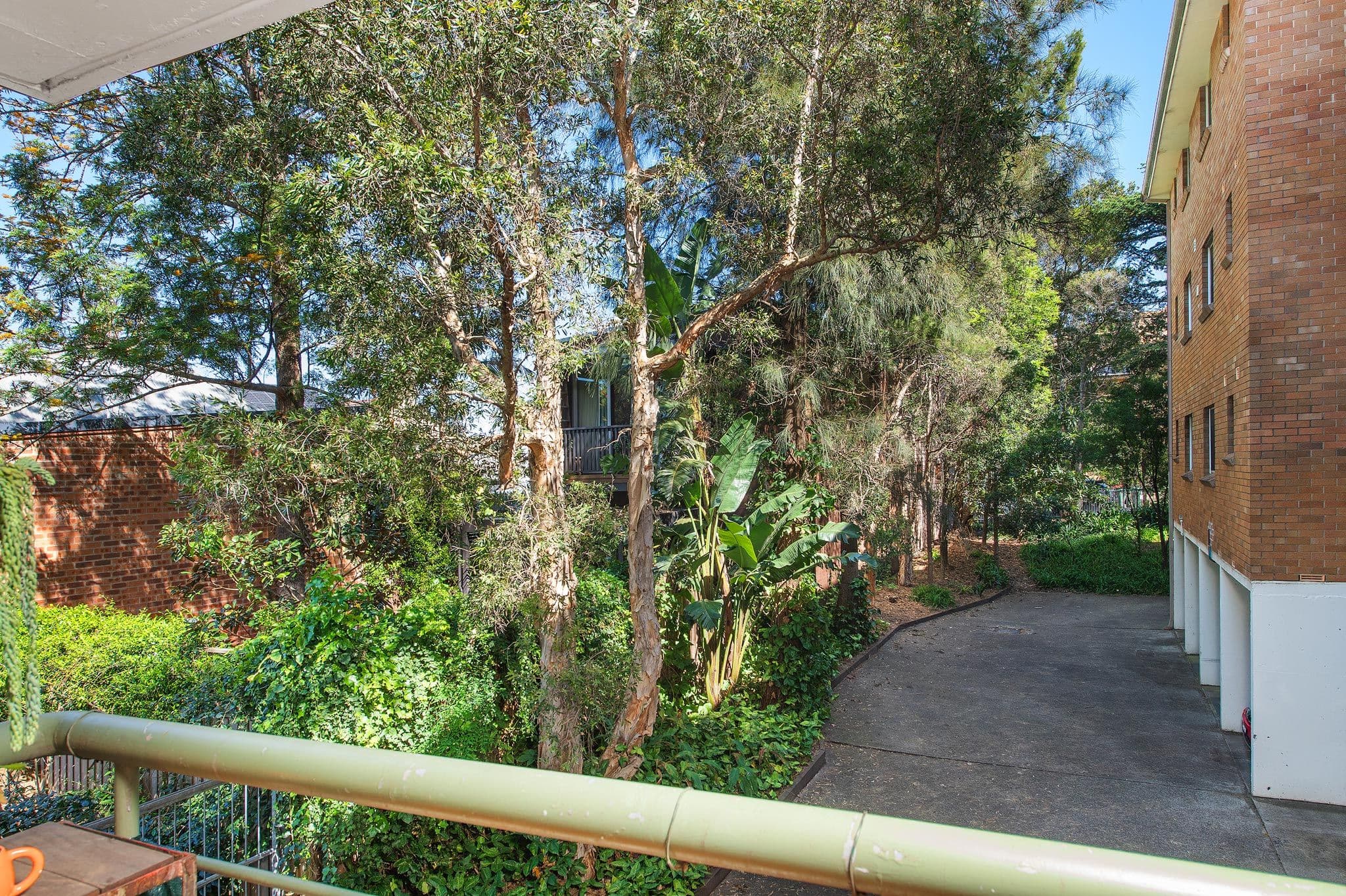 33-37 Tupper Street, Enmore NSW 2042, Enmore - Thumbnail 2