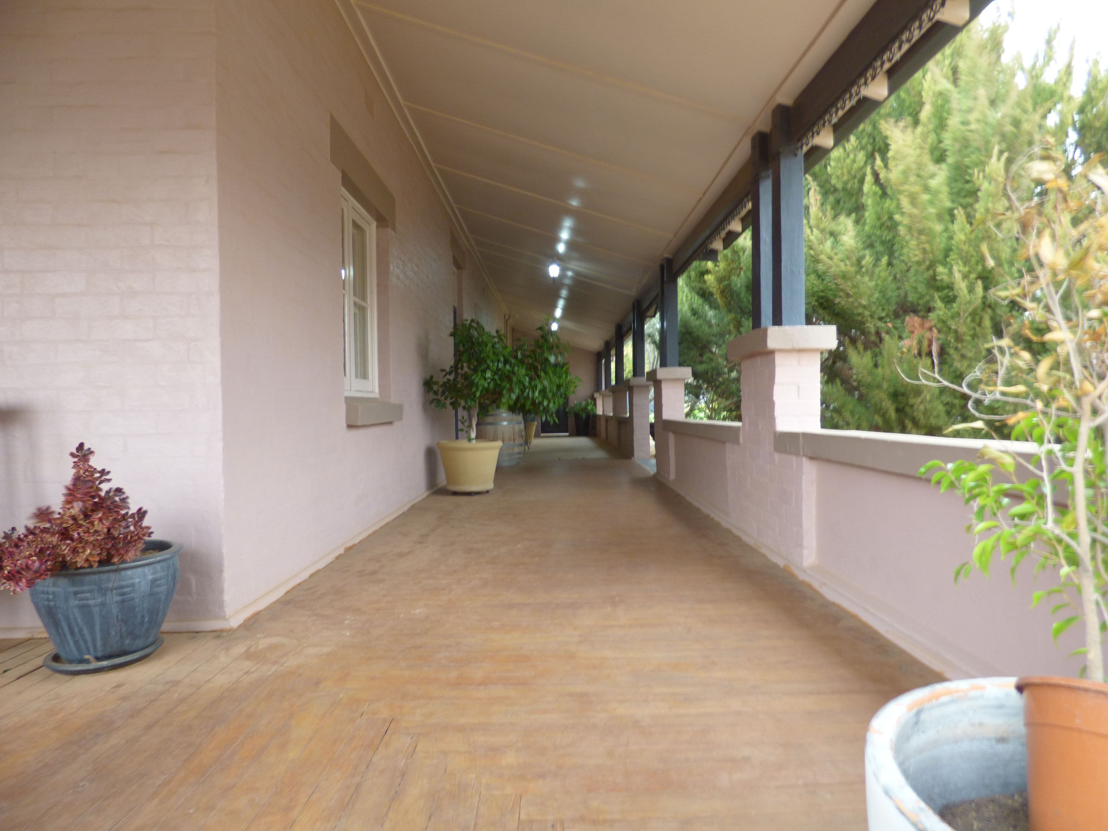 39 Oxford Street, Forbes - Thumbnail 4