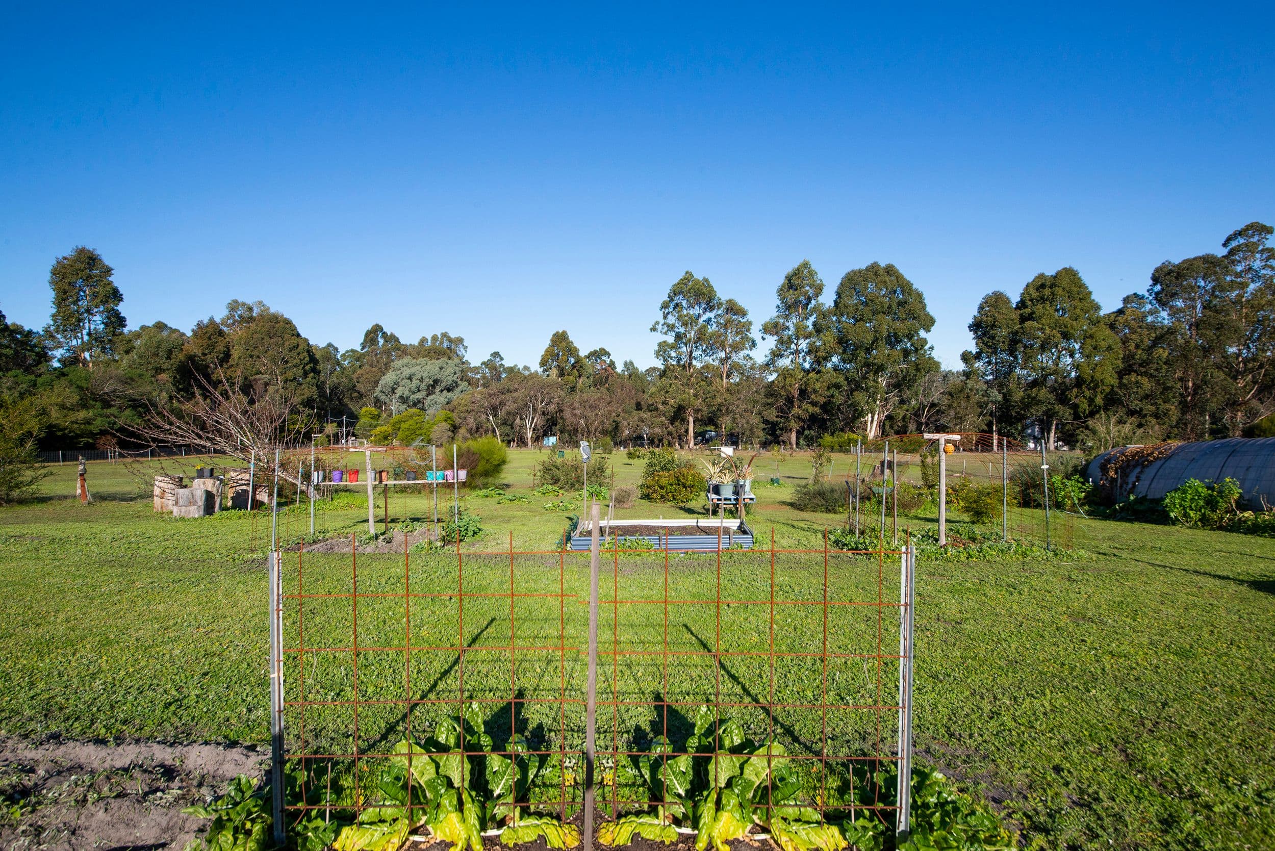 51 Johnston Road, Nannup WA 6275, Nannup - Thumbnail 3