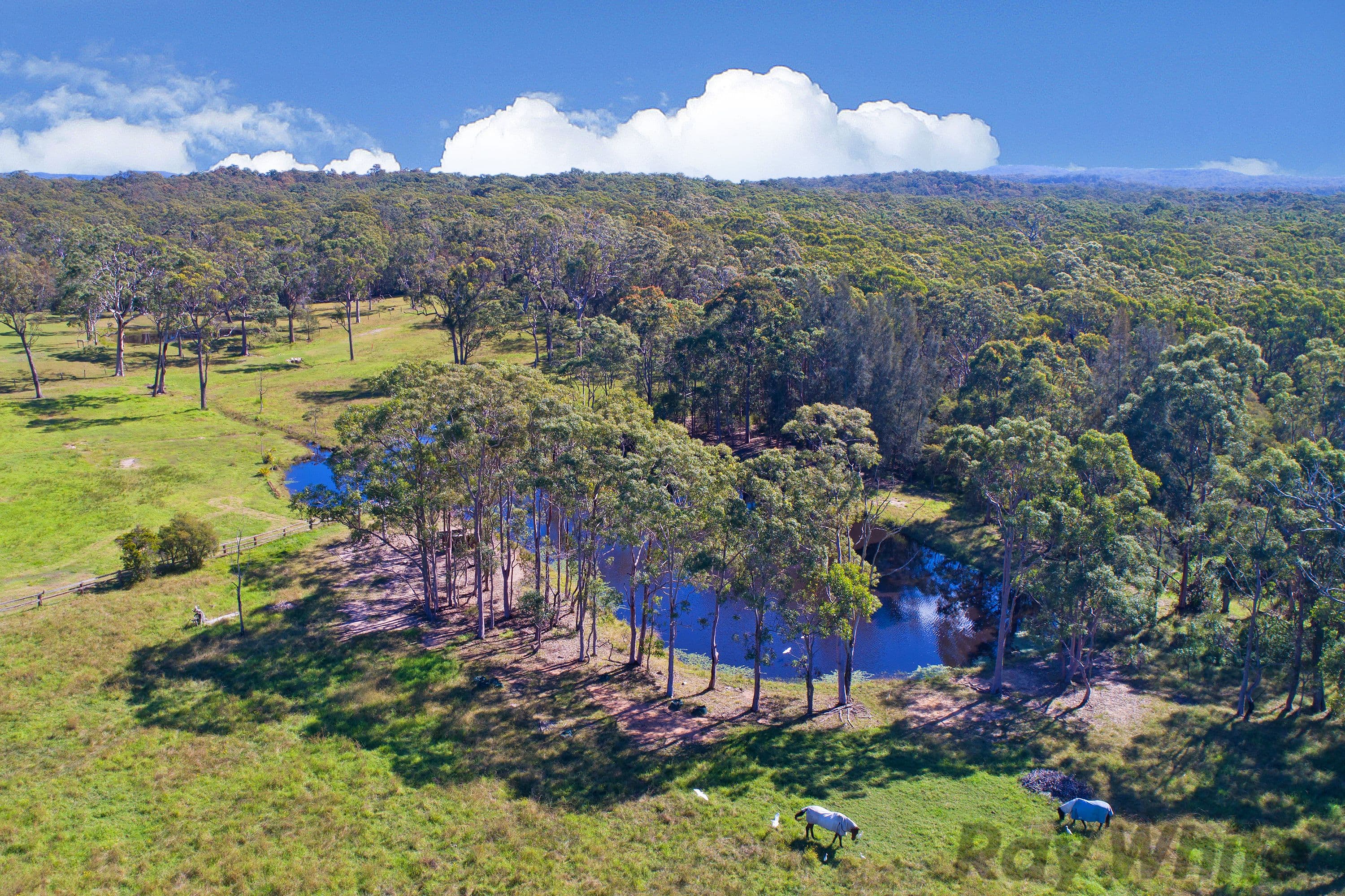 310 Bruce Crescent, Wallarah NSW 2259, Wallarah - Thumbnail 2