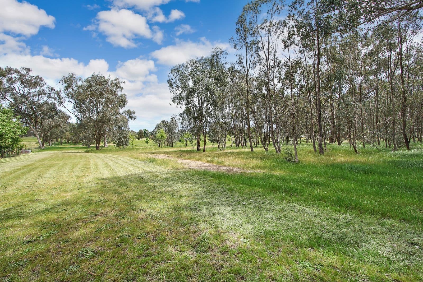 121 Thomas Street, Gerogery NSW 2642, Gerogery - Image 1