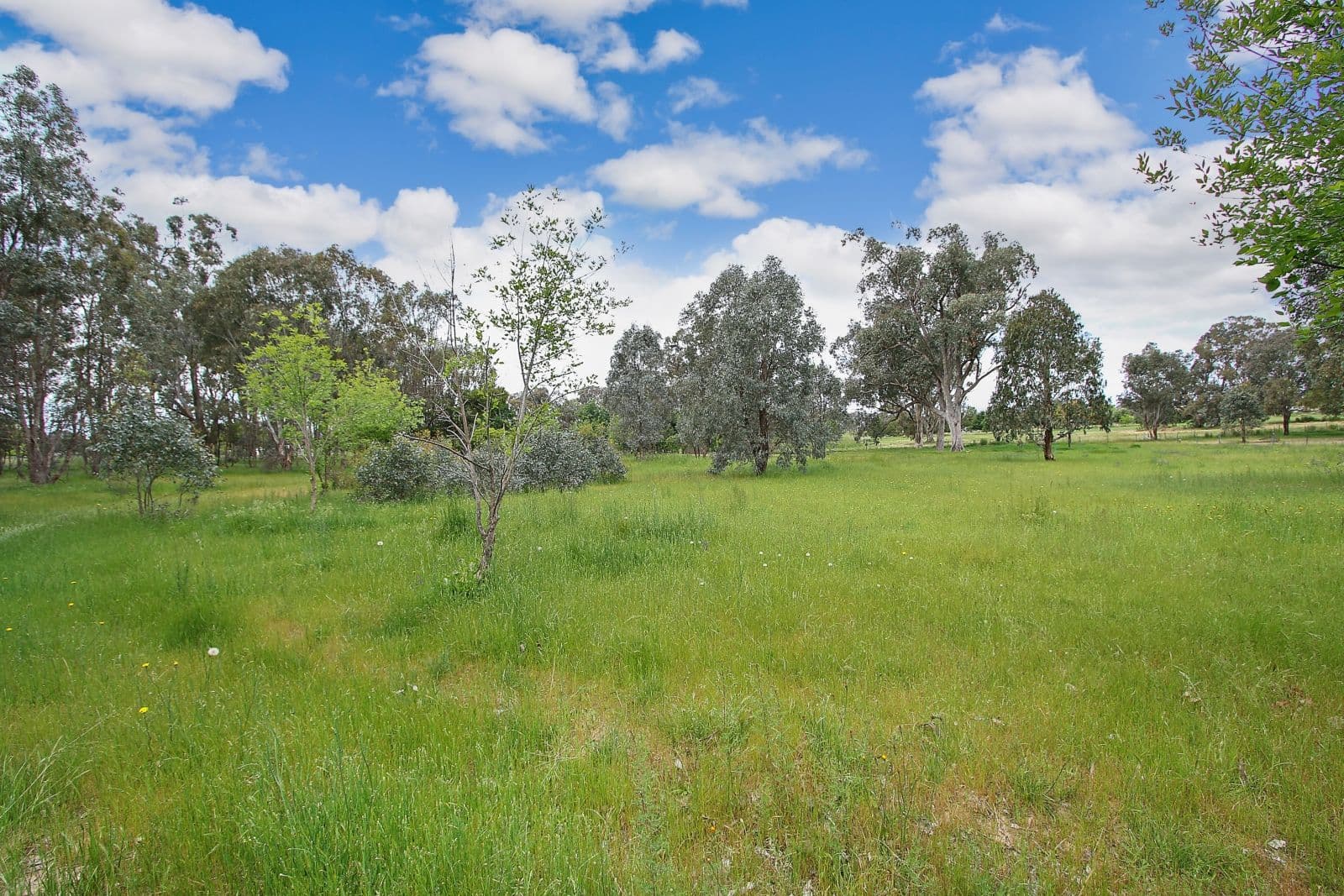 121 Thomas Street, Gerogery NSW 2642, Gerogery - Thumbnail 2