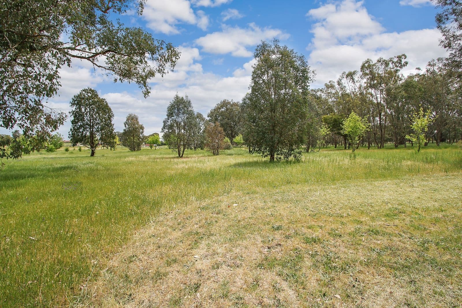 121 Thomas Street, Gerogery NSW 2642, Gerogery - Thumbnail 3
