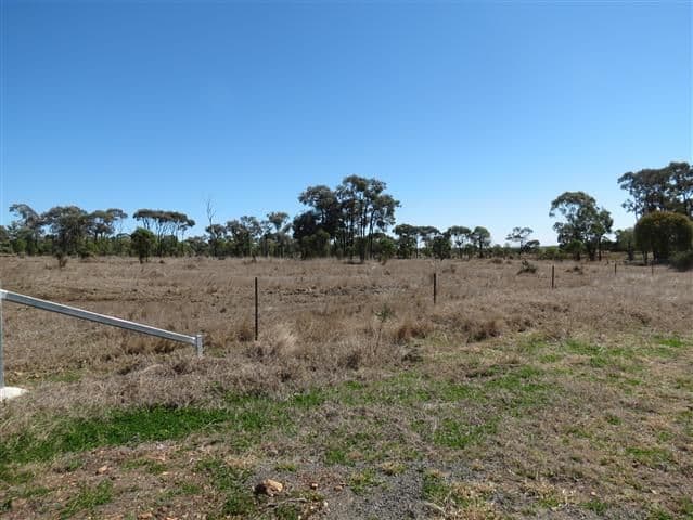 0 Freemans Road, ROMA QLD 4455, Roma - Thumbnail 3