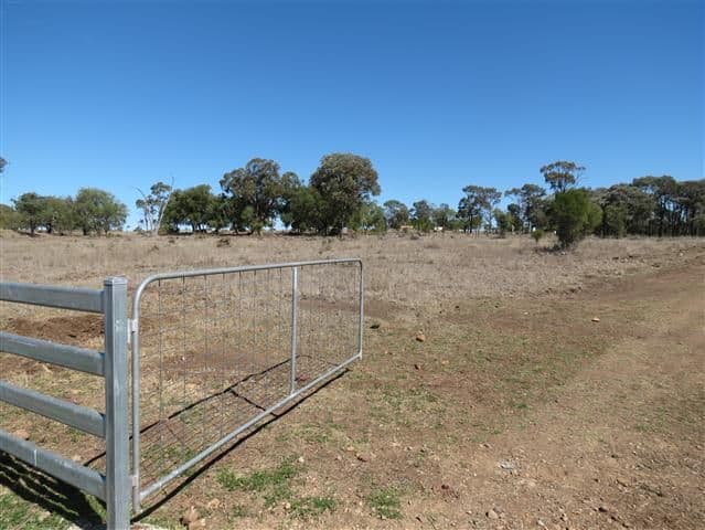 0 Freemans Road, ROMA QLD 4455, Roma - Thumbnail 5