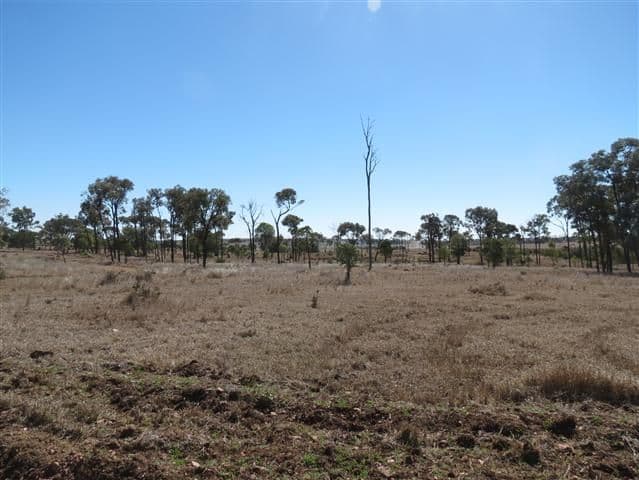 0 Freemans Road, ROMA QLD 4455, Roma - Thumbnail 6