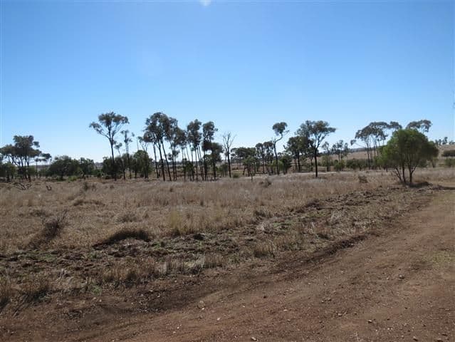 0 Freemans Road, ROMA QLD 4455, Roma - Thumbnail 7