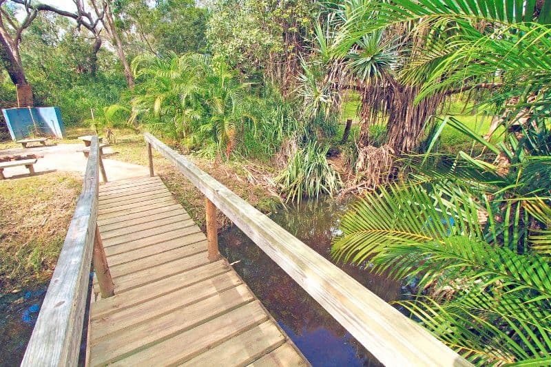 38 Bernborough Drive, BARMARYEE QLD 4703, Barmaryee - Thumbnail 4