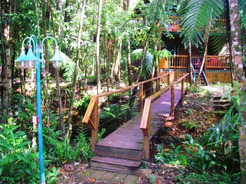 1529 Cape Tribulation Road, DAINTREE QLD 4873, Lower Daintree - Thumbnail 2