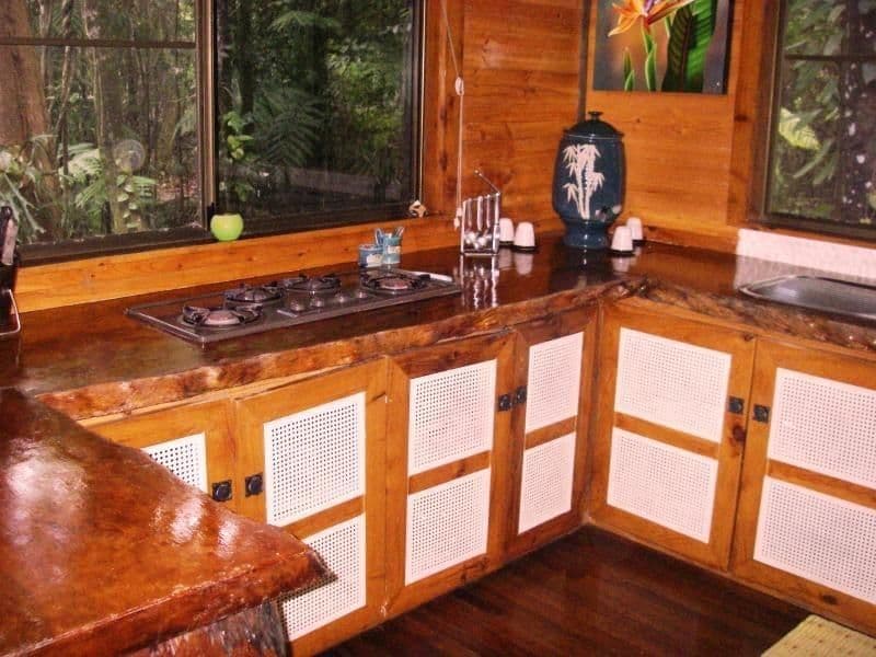 1529 Cape Tribulation Road, DAINTREE QLD 4873, Lower Daintree - Thumbnail 7
