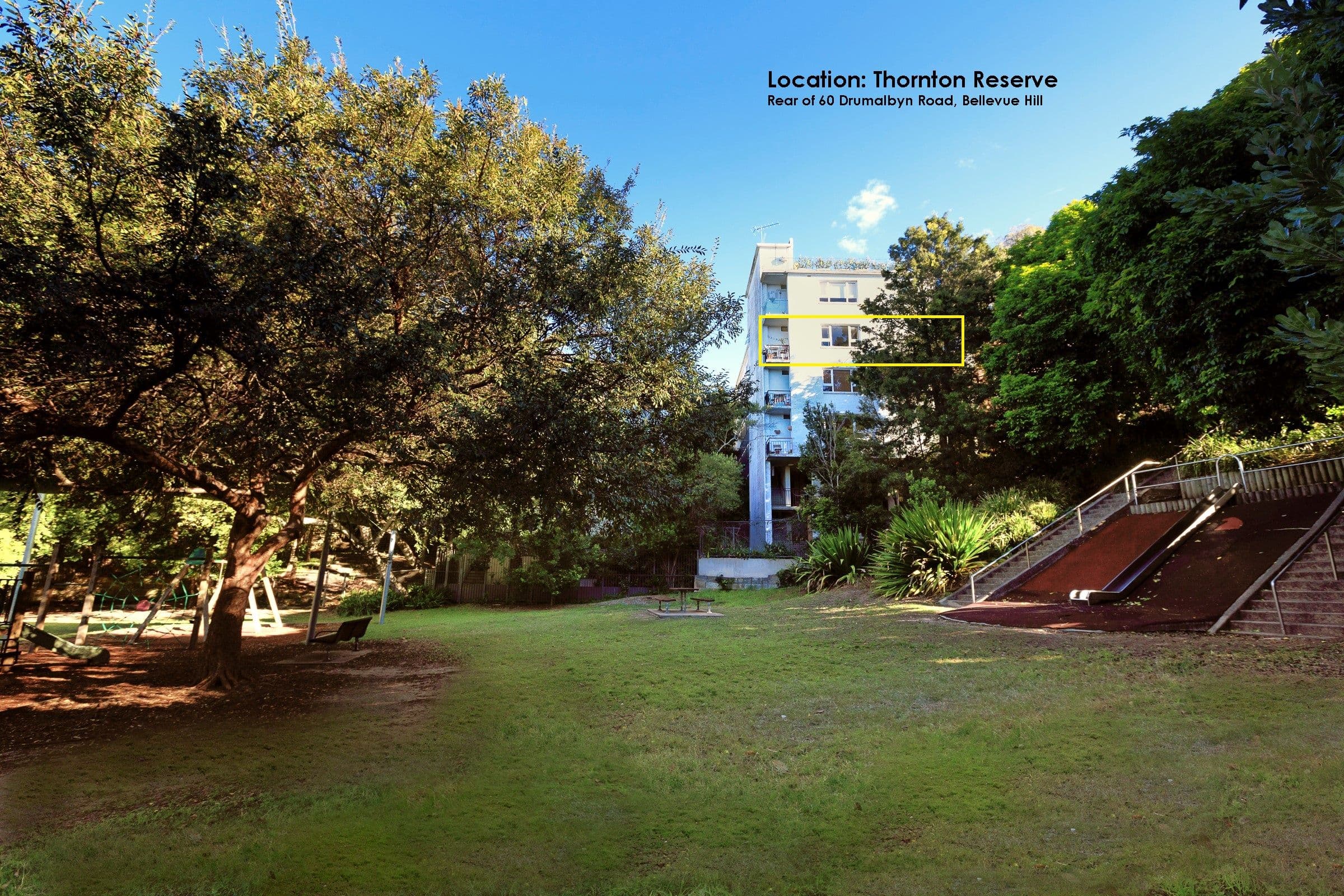 60 Drumalbyn Road, Bellevue Hill NSW 2023, Bellevue Hill - Thumbnail 6
