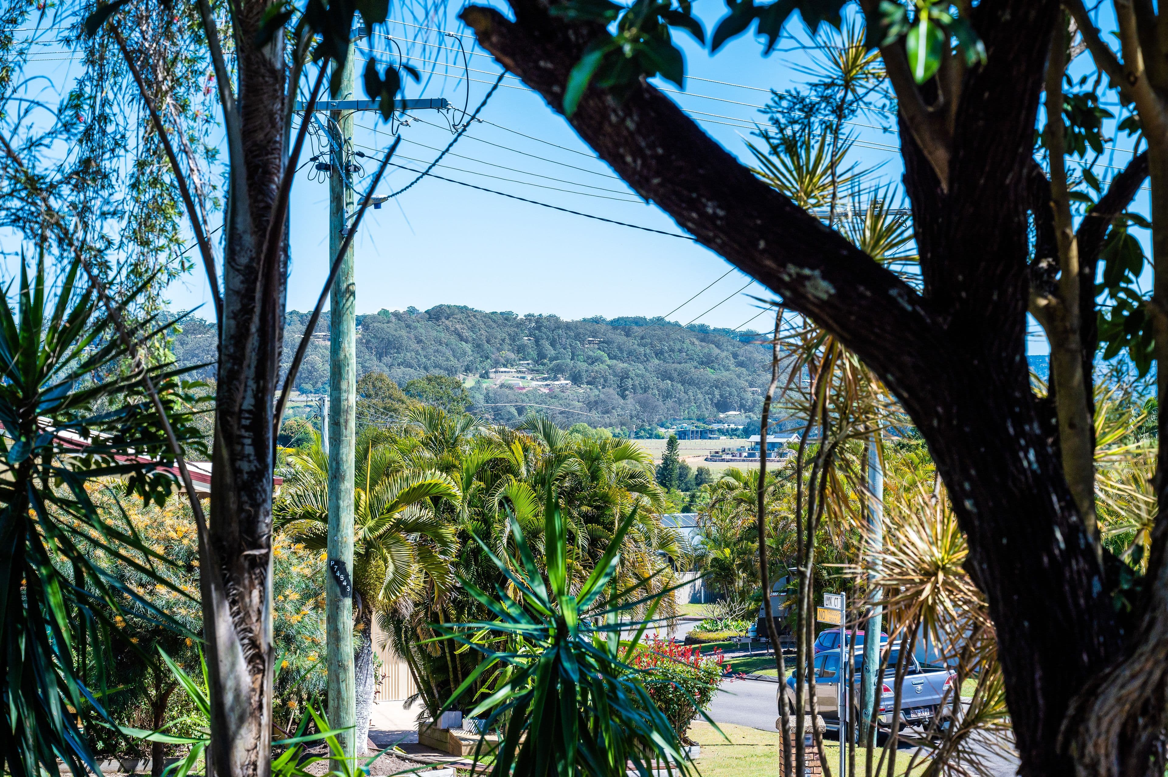 19 Kennedy Road, Bli Bli QLD 4560, Bli Bli - Thumbnail 3