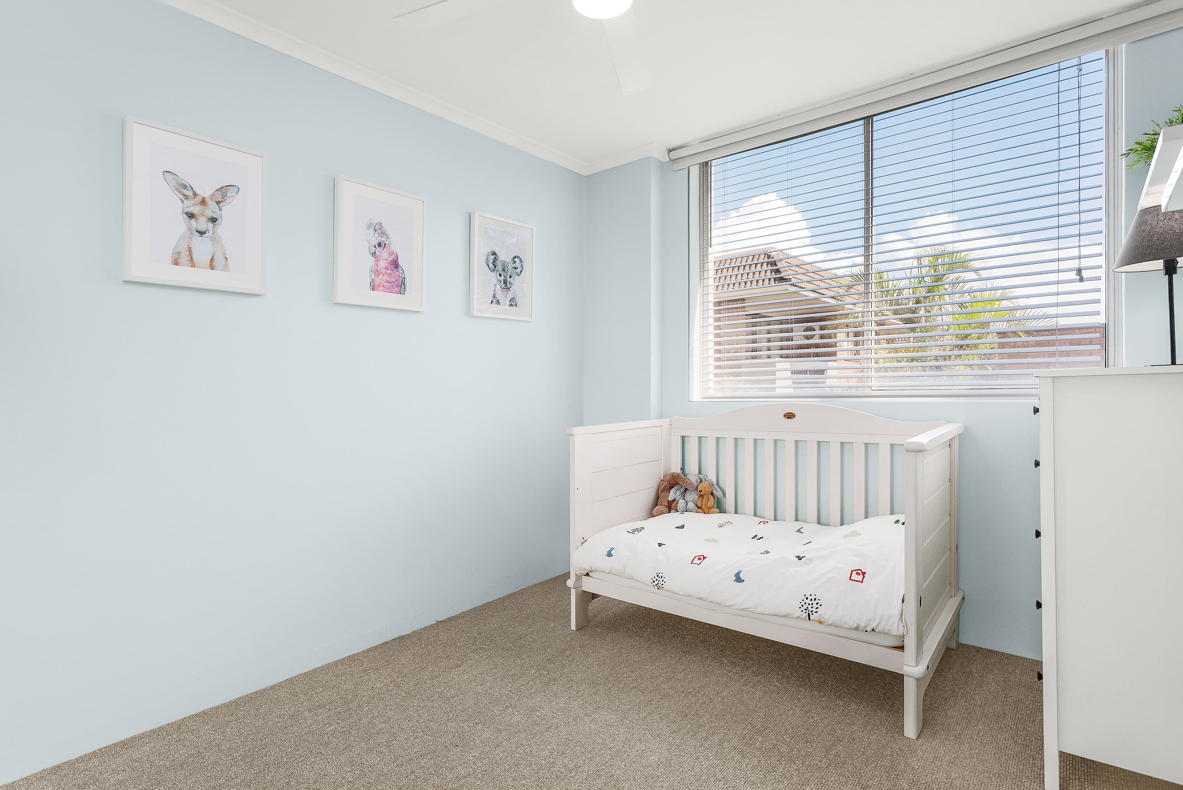 121 Cook Road, Centennial Park NSW 2021, Centennial Park - Thumbnail 6