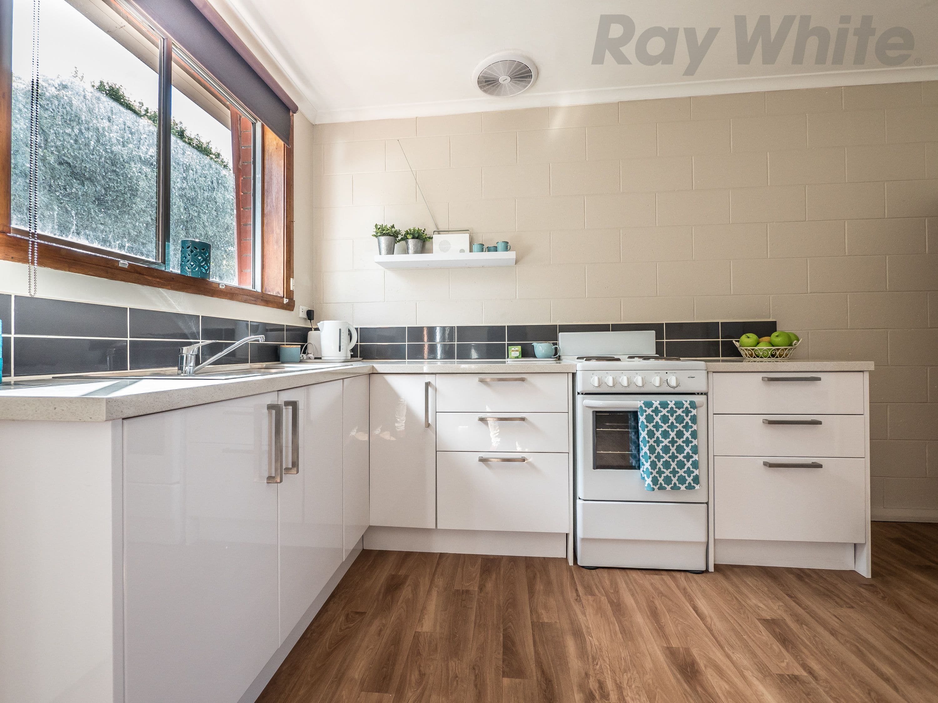 2 Nelis Court, Lutana TAS 7009, Lutana - Thumbnail 3