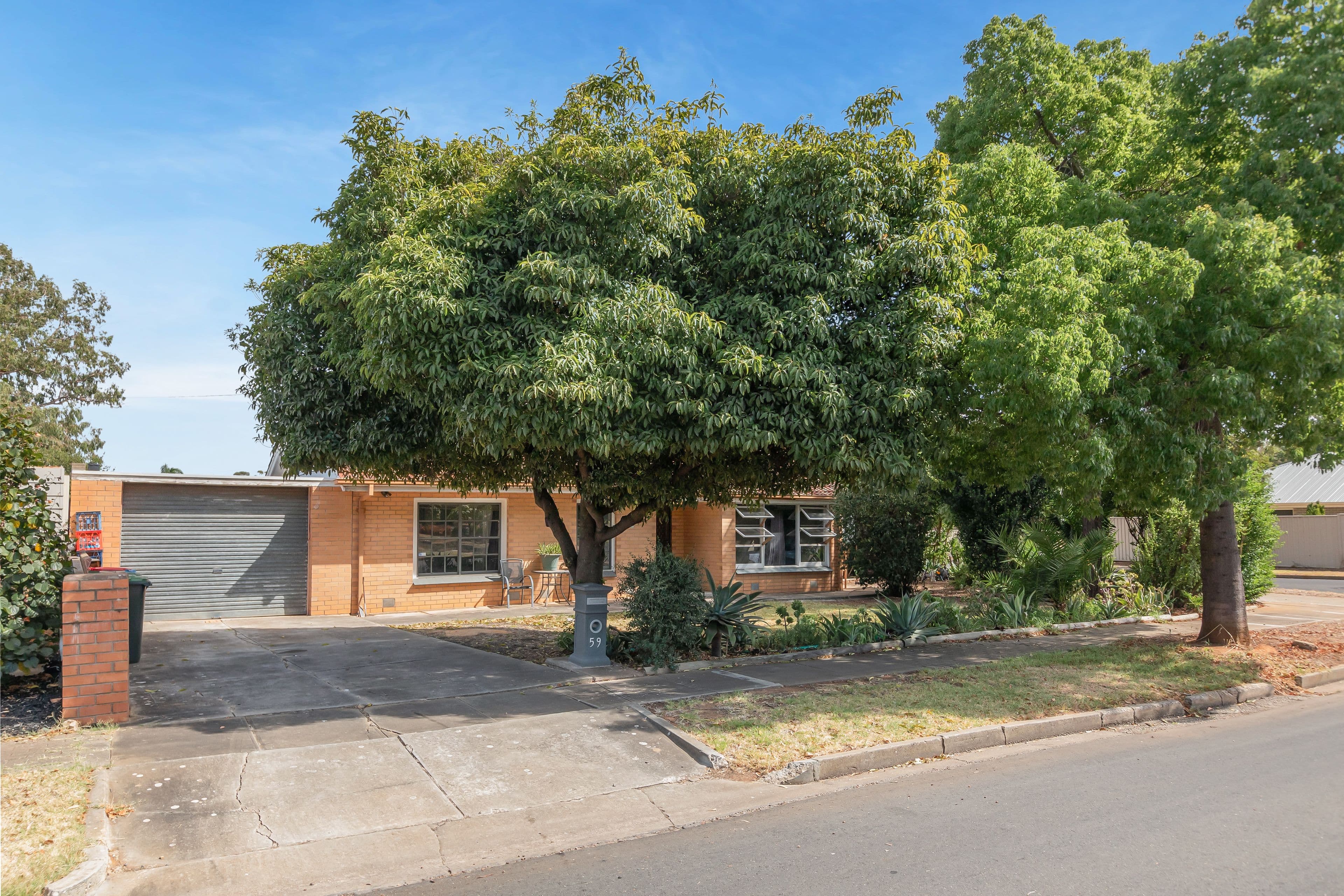 59 St Leonard Crescent, Elizabeth Downs SA 5113, Elizabeth Downs - Image 1